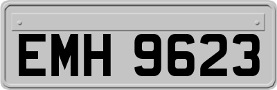 EMH9623