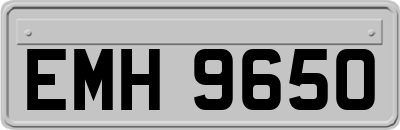 EMH9650