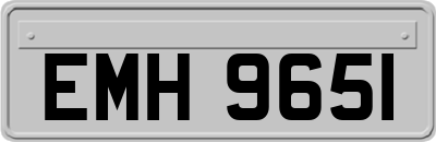 EMH9651