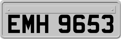 EMH9653