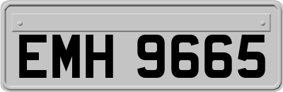 EMH9665