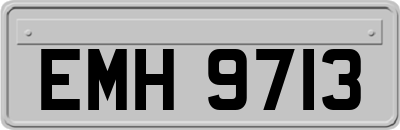 EMH9713