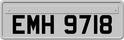 EMH9718
