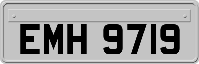 EMH9719