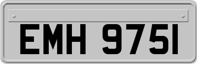 EMH9751