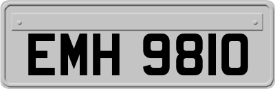 EMH9810