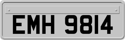 EMH9814