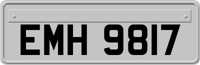 EMH9817