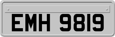 EMH9819