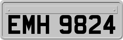 EMH9824