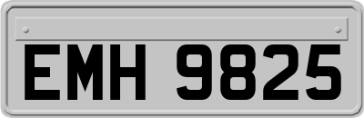 EMH9825