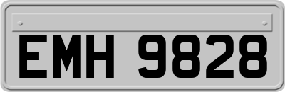 EMH9828