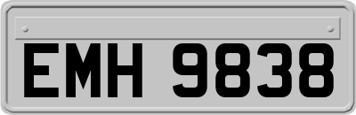 EMH9838