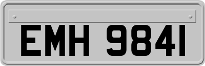 EMH9841