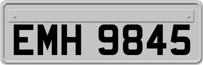 EMH9845