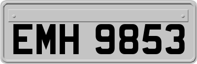 EMH9853