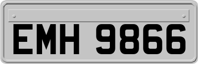 EMH9866