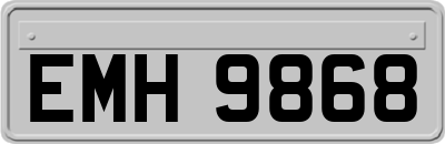 EMH9868