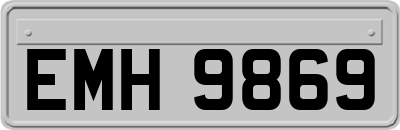 EMH9869