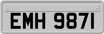EMH9871