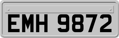 EMH9872