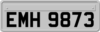 EMH9873
