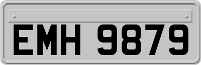 EMH9879