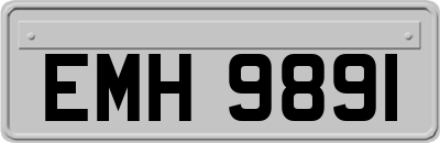 EMH9891