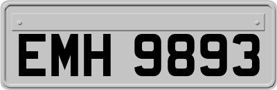 EMH9893