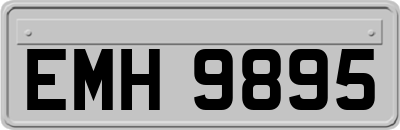 EMH9895