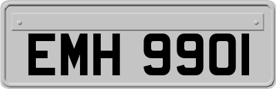EMH9901