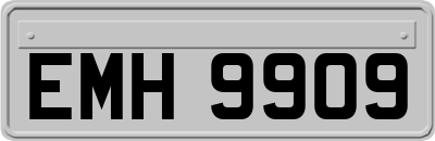 EMH9909