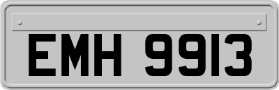 EMH9913