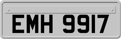 EMH9917
