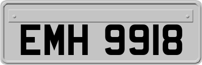 EMH9918