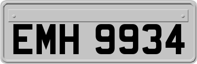EMH9934
