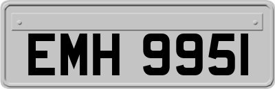 EMH9951