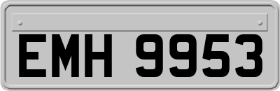 EMH9953