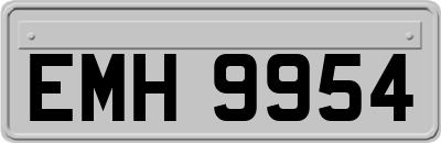 EMH9954