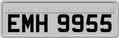 EMH9955
