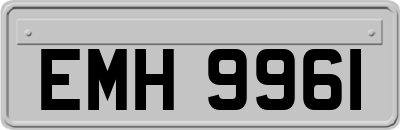 EMH9961