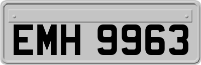 EMH9963