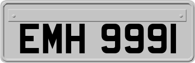 EMH9991