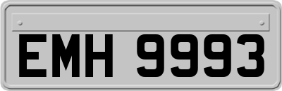 EMH9993