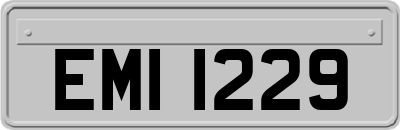 EMI1229