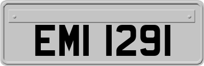 EMI1291