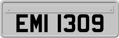 EMI1309