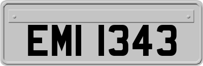 EMI1343