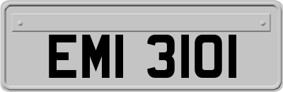 EMI3101