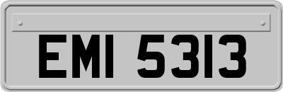 EMI5313